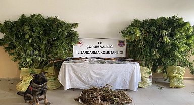 Çorum'da jandarmadan uyuşturucu tacirlerine operasyon: 2 tutuklama