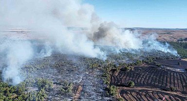 Çorum'da tarım arazisindeki yangın ormanlık alana sıçradı