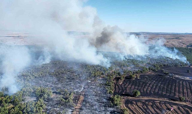 Çorum'daki yangında 70 bin dönümden fazla alan zarar gördü