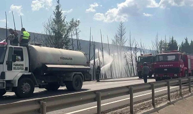 D-650'de korkutan yangın: Ağaçlar alev topuna döndü, trafik durduruldu