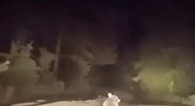 Dağ yolunda sürücüyle karşılaşan ayının panik anları