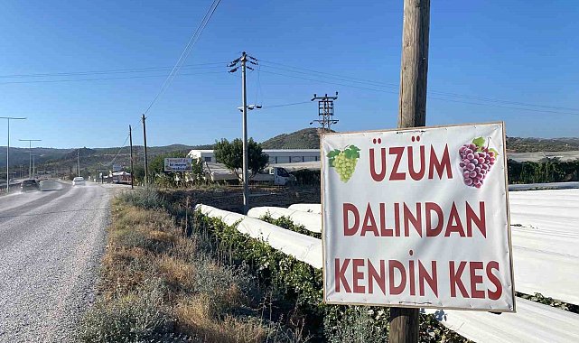 Dalından satışla ekonomiye katkı
