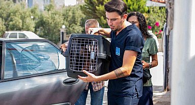 Davutlar Mahallesi'ne Kedi Kısırlaştırma Merkezi açıldı