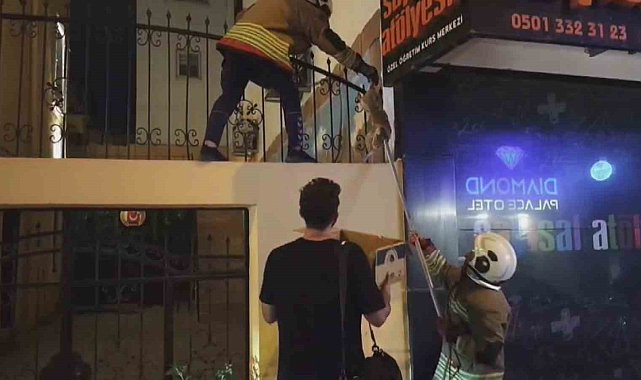 Demir korkulukta mahsur kalan kediyi itfaiye kurtardı