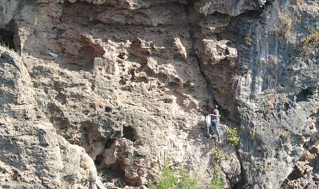 Denize sıfır sarp kayalıklarda ot topluyor, gören itfaiyeyi arıyor