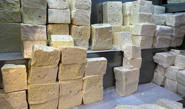 Denizli'de peynir üreten firmanın 5 ürününde yağ oranı düşük çıktı