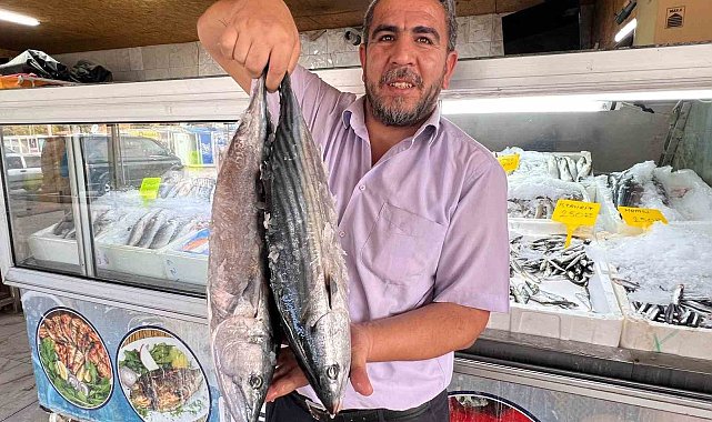 Deprem sonrası Kahramanmaraş'tan 54 ülkeye balık ihracatı