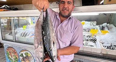 Deprem sonrası Kahramanmaraş'tan 54 ülkeye balık ihracatı