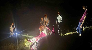 Derecik'te dağda rahatsızlanan inek, halı içerisinde 1 kilometre taşındı