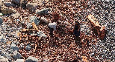 Derelerin Karadeniz'e taşıdığı ağaç kütüğü ve odunlar Rizeliler'in kışlık yakacağı oldu