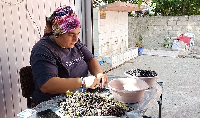 Devrek'te üretilen aronya meyve suyu büyük ilgi görüyor