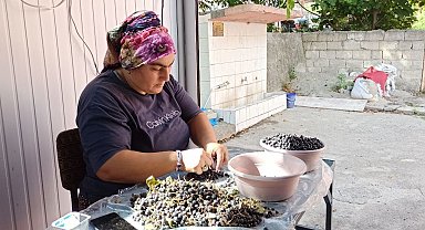 Devrek'te üretilen aronya meyve suyu büyük ilgi görüyor