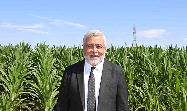 Dicle Elektrik Genel Müdürü Arvas: "Bölgede sorun elektrik değil, sulama"