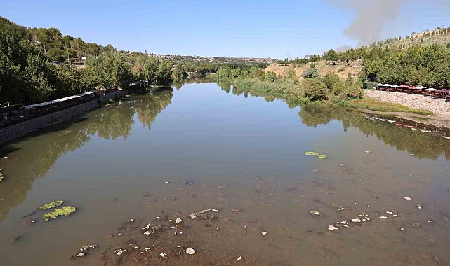 Dicle Nehri'nde balık ölümleri görüldü
