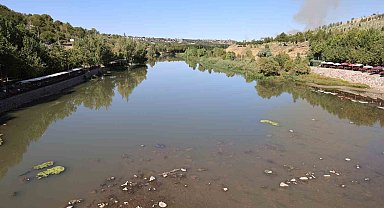Dicle Nehri'nde balık ölümleri görüldü