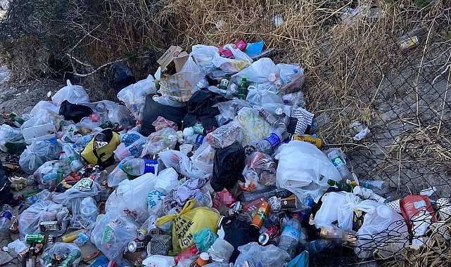 Dikili Belediyesi Pissa Koyu çöplüğe çevrildi
