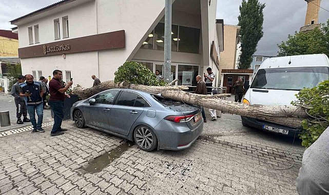 Diyadin'de ağaç devrildi araç hasar gördü