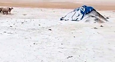 Diyadin'de Eylül'de yağan kar köyü beyaza bürüdü