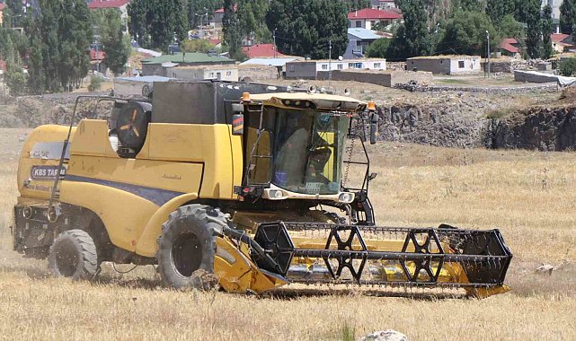 Diyadin'de hasat mevsimi başladı
