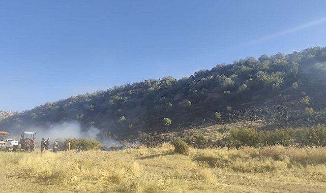 Diyarbakır'da anız yangını ormanlık alana sıçradı