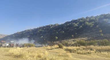 Diyarbakır'da anız yangını ormanlık alana sıçradı