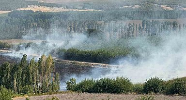 Diyarbakır'da Hevsel Bahçelerindeki mısır tarlasında anız yangını