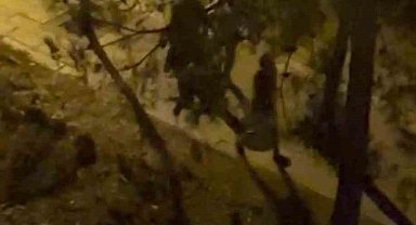 Diyarbakır'da husumetlilerin kavgasında kan aktı, olayla ilgisi olmayan bir kişi hayatını kaybetti