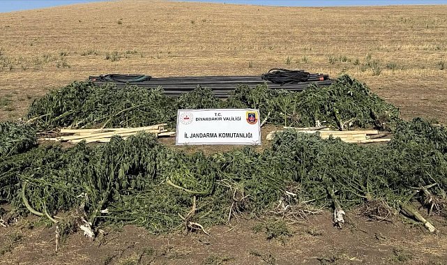 Diyarbakır'da uyuşturucu operasyonu: 28 şüpheli hakkında işlem yapıldı