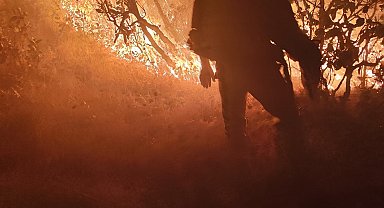 Diyarbakır'daki orman yangını söndürüldü