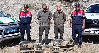 DKMP ekipleri izinsiz yakalanan şaka kuşu ele geçirdi