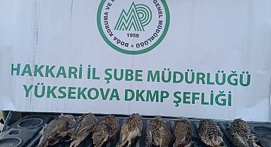 DKMP ekipleri kaçak keklik avlayan şahsa cezai işlem uyguladı