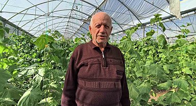 Doğu Anadolu'nun en büyük serasında üretim aralıksız sürüyor