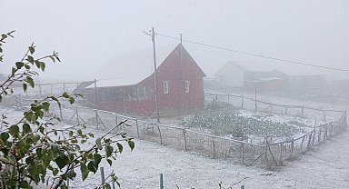 Doğu Karadeniz'in sahili ve iç kesimlerindeki şiddetli yağış yerini zirvelerde kara bıraktı