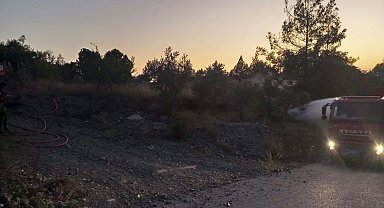 Dörtyol'da orman yangını büyümeden söndürüldü