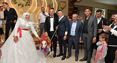 Düğünde gelin ve damada ilginç takı: Buzağı hediye ettiler