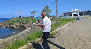 Duyarlı vatandaş martının hayatını kurtardı