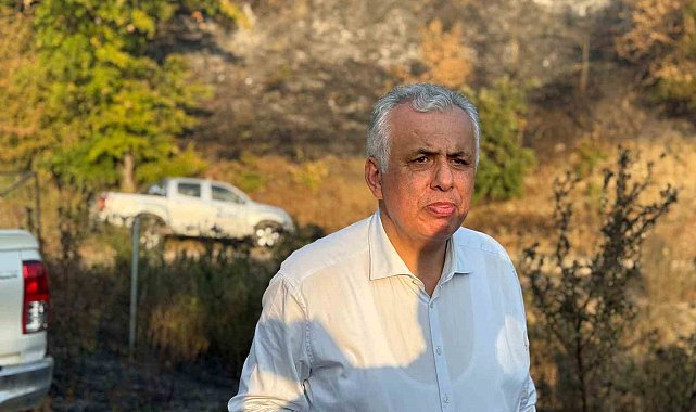 Düzce Vali Vekili Cinbir: "Orman yangını kontrol altına alınmak üzere"