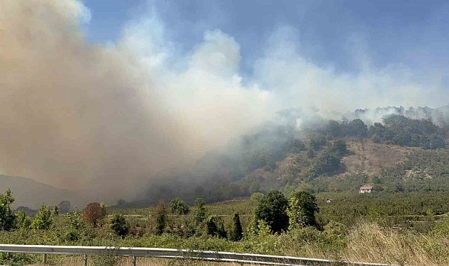 Düzce'de orman yangını 5. saatinde