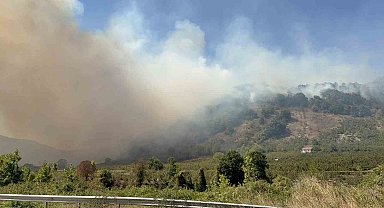 Düzce'de orman yangını 5. saatinde