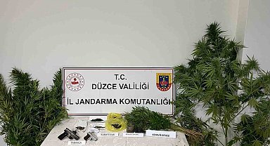 Düzce'de uyuşturucu operasyonunda 1 tutuklama