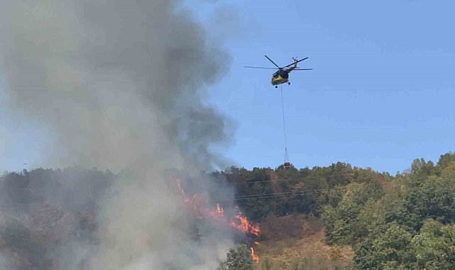 Düzce'deki orman yangınına helikopter ve 20 araçla müdahale sürüyor