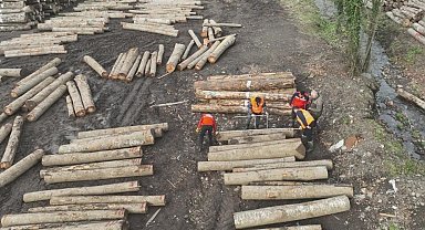 Düzce'den 9 bin 967,5 ton orman ürünü ihraç edildi