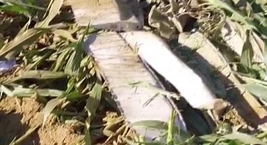 Eğitim amaçlı havalanan bir helikopter, İzmir'in Torbalı ilçesine bağlı Kırbaş Mahallesi'nde mısır tarlasına düştü. Olayda 1 pilot hayatını kaybetti.