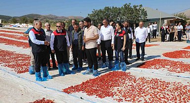 Elazığ'da 100 bin 352 ton domates rekoltesi bekleniyor
