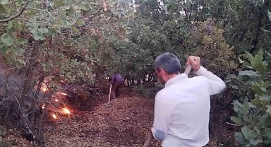 Elazığ'da ağaçlık alanda yangın
