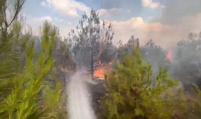 Elazığ'da ormanlık alanda yangın