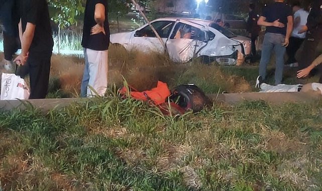 Elazığ'da otomobil Millet Bahçesi'ne girdi: 5 yaralı