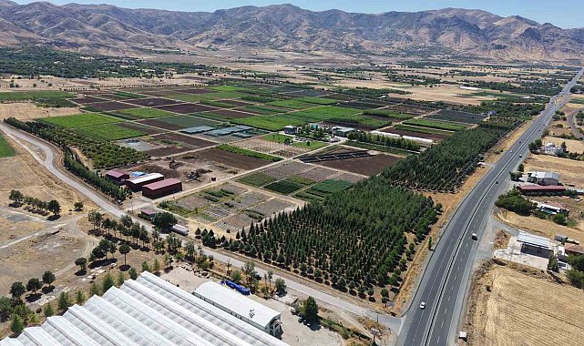 Elazığ'da üretilen milyonlarca fidan, ülkeye nefes oluyor