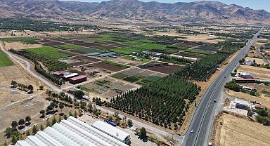 Elazığ'da üretilen milyonlarca fidan, ülkeye nefes oluyor