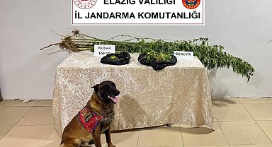 Elazığ'da uyuşturucuyla mücadele